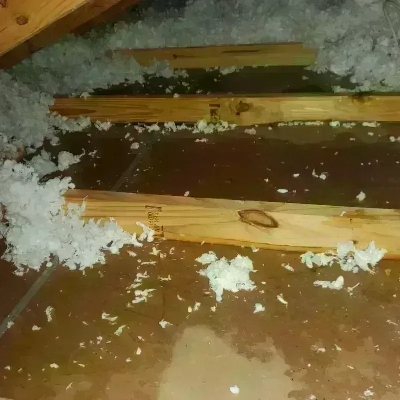 Attic Water Damage in Hapeville, GA