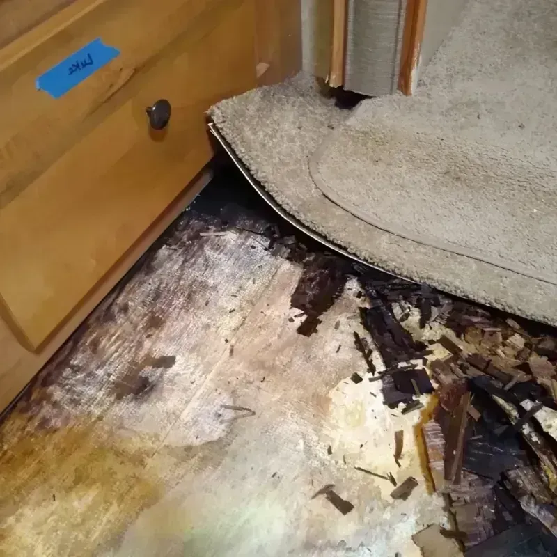 Best Wood Floor Water Damage Service in Hapeville, GA